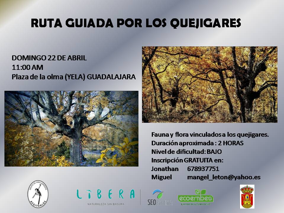 Cartel ruta